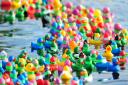 A previous Beccles Duck Race. Picture: Nick Butcher.