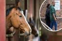 Anderson Morales Ramon preyed on teenage girls' love of horses while working as an apprentice stable hand