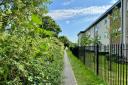 Meadow Walk pathway was left unkempt for months for being cut.