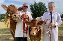 The supreme beef champion at the 2024 Aylsham Show was a Limousin cow named Brambles Sweetheart, shown by Paul Barwood, from Fleggburgh, with a calf handled by Lizzy Murrell