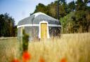 One of the yurts at Raynham Estate's Wild Meadow glamping site. Picture: Supplied by Raynham