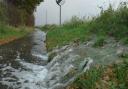 A flood warning has been issued for riverside areas along the River Yare, inclduing Cantley, Reedham and Brundall