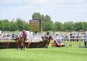 Racing action from the Jarrold Ladies Raceday at Fakenham