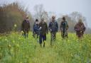 Members of the Wensum Farmers Group in a cover-cropped field in Horningtoft. From left: Kit Papworth, Lizzie Emmett, Colin Palmer, Adrian Howes, Mary van Beuningen and Coen van Beuningen