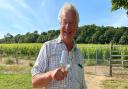 Robert Perowne, owner of the Cobble Hill vineyard near Burnham Market