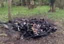 The charred remains of the original bug hotel after it was destroyed by arsonists.