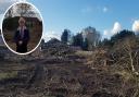 Claude Doy has expressed his anger as a developer began removing a large number of trees from Dereham Maltings