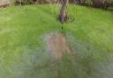 A manhole at Burnham Market, with sewage visible bubbling up from underground.