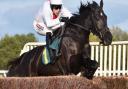 Harry Skelton leads Nube Negra to victory in the Greene King Novices Chase Picture:: Sonya Duncan