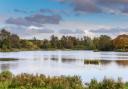 Pensthorpe is looking for young naturalists to join a new junior board. Picture: Matthew Usher.