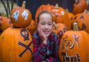 Halloween and families enjoying Pensthorpe Natural Park