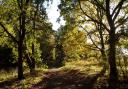 Peddars Way has been named among the UK's best cycling routes