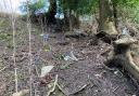 Bridget Moss who lives near Fakenham came across the old line off Greenway Lane in the town, but was left disheartened over the litter she uncovered on the bank of the path