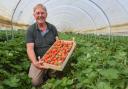 Simon Turner, owner and managing director of Sharrington Strawberries, hopes to have the farm's barn transformed into a café and shop.