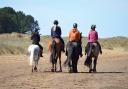 Work will shortly commence  to create a new access route to Holkham Beach for those arriving with their horse