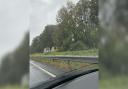 Part of the A11 is closed due to a fallen tree