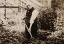 George Edwards MP in his garden in Fakenham in about 1930.