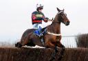 A new book about Cool Roxy, Fakenham racecourse’s legendary winning-most horse, and his trainer Alan Blackmore is being launched