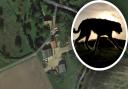 A company named after the mythical Black Shuck wants to turn two barns into a distillery and visitor centre