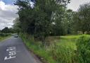 Plans to convert land into a dog-walking area off Fen Road in Scarning have been submitted.