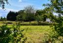 The site of the proposed campsite at Barmer, between Docking and Fakenham