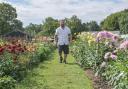 Owner Tony Calver walking through the 'Dahlia Addiction' flower field