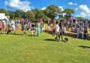 The Fun Dog Show in full swing at Party on the Pastures in Blakeney