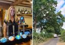 A pub in north Norfolk was without internet for nearly a week after a tree fell on the village's telephone wires.