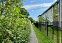 Meadow Walk pathway was left unkempt for months for being cut.