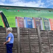 Sandra Ashmore looks on at the HGV trailers which have appeared in the field next to her home