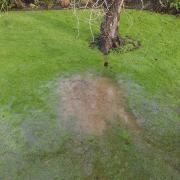 A manhole at Burnham Market, with sewage visible bubbling up from underground.