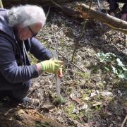 Nigel Lloyd, NNDC’s Portfolio Holder for Environment, at a tree planting at Holt Country Park earlier in the year.