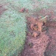 Players and staff at Bradenham Cricket Club have been left feeling angry and hopeless after finding their newly treated cricket ground full of tyre marks on Friday, September 18. Picture: Brett Gates