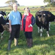 William and Alex Wales, with some of their herd at Binham.