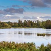 Pensthorpe is looking for young naturalists to join a new junior board. Picture: Matthew Usher.