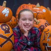 Halloween and families enjoying Pensthorpe Natural Park