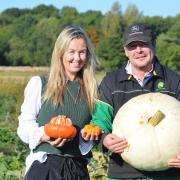 Victoria and Henry Cushing with harlequin and polar bear pumpkins at their farm near Thursford