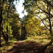 Peddars Way has been named among the UK's best cycling routes