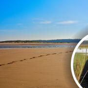 Jake Fiennes, director of the Holkham Nature Reserve (inset), has thanked locals at Holkham and Wells beaches for their support in keeping dogs on leads to help nesting birds and their chicks