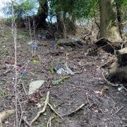 Bridget Moss who lives near Fakenham came across the old line off Greenway Lane in the town, but was left disheartened over the litter she uncovered on the bank of the path