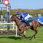 North Norfolk jockey Fletcher Yarham in action