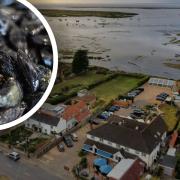 The White Horse in Brancaster Staithe is welcoming guests to enjoy mussel season