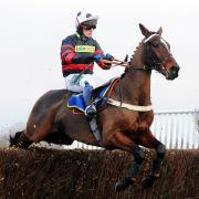 A new book about Cool Roxy, Fakenham racecourse’s legendary winning-most horse, and his trainer Alan Blackmore is being launched