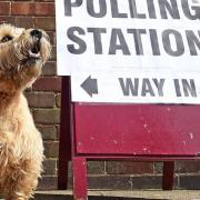 Polling stations have opened in Norfolk after weeks of campaigning