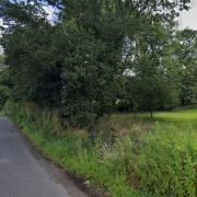 Plans to convert land into a dog-walking area off Fen Road in Scarning have been submitted.