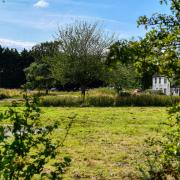 The site of the proposed campsite at Barmer, between Docking and Fakenham