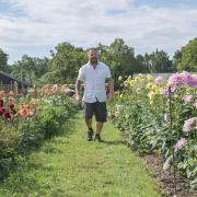 Owner Tony Calver walking through the 'Dahlia Addiction' flower field