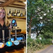 A pub in north Norfolk was without internet for nearly a week after a tree fell on the village's telephone wires.