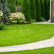 Your lawn can be strengthened ahead of the winter if it is fed correctly